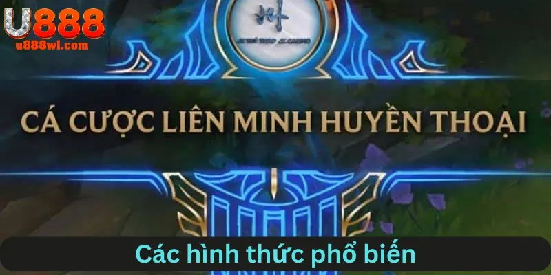 Các hình thức cá phổ biến trong liên minh